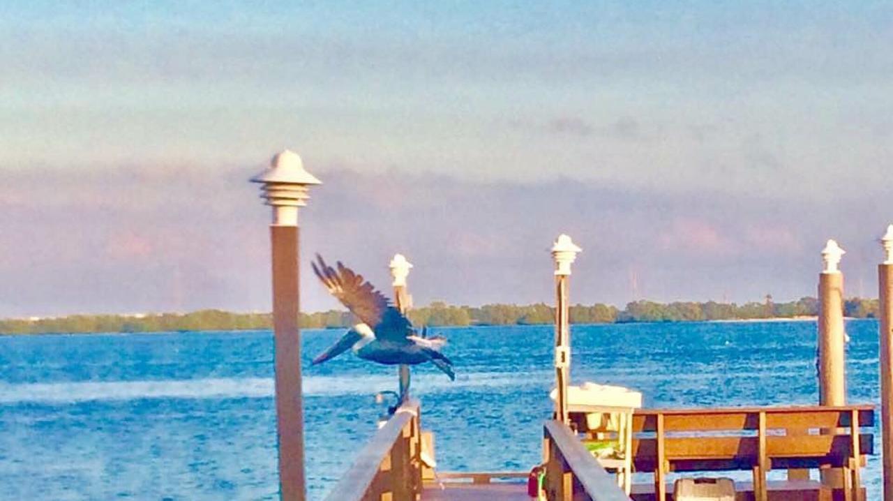 Pag Beachhouse Rentals St. Pete Beach Ngoại thất bức ảnh